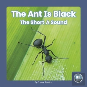 The Ant Is Black