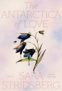 The Antarctica Of Love
