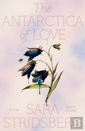 The Antarctica Of Love