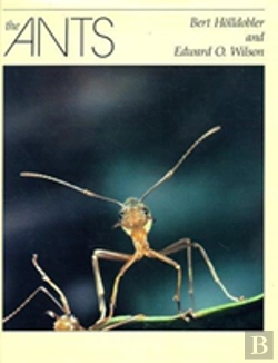 Bertrand.pt - The Ants