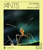 The Ants