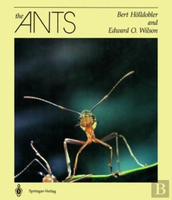 Bertrand.pt - The Ants