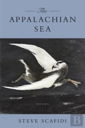 The Appalachian Sea