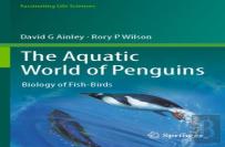 The Aquatic World Of Penguins