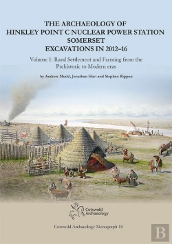 Bertrand.pt - The Archaeology Of Hinkley Point C Nuclear Power Station, Somerset. Excavations In 2012-16