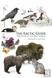The Arctic Guide