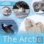 The Arctic
