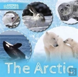 Bertrand.pt - The Arctic