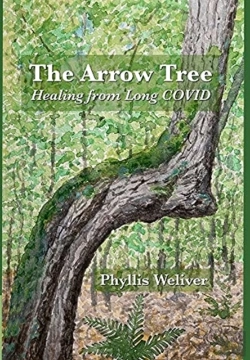 Bertrand.pt - The Arrow Tree