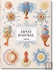 The Art And Science Of Ernst Haeckel