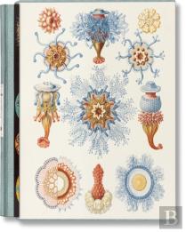 The Art And Science Of Ernst Haeckel