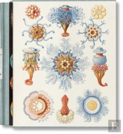 Bertrand.pt - The Art And Science Of Ernst Haeckel