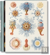 The Art And Science Of Ernst Haeckel