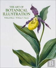 The Art Of Botanical Illustration