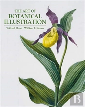 The Art Of Botanical Illustration