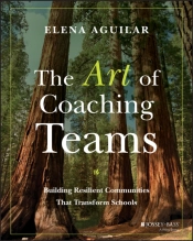 The Art Of Coaching Teams