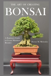 The Art Of Creating Bonsai