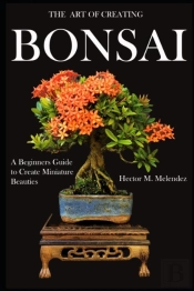 The Art Of Creating Bonsai
