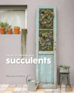 Bertrand.pt - The Art Of Creating With Succulents
