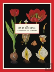 The Art Of Instruction Notecard Set