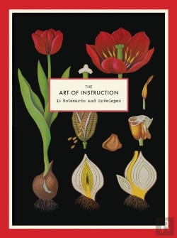 Bertrand.pt - The Art Of Instruction Notecard Set