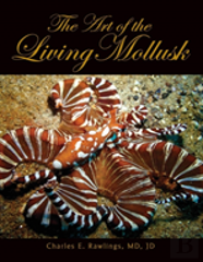 The Art Of Living Mollusks