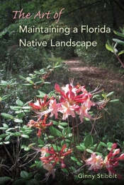 The Art Of Maintaining A Florida Native Landscape