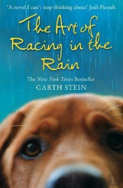 Bertrand.pt - The Art Of Racing In The Rain