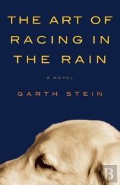 The Art Of Racing In The Rain