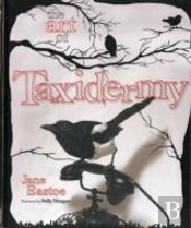 The Art Of Taxidermy