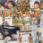 The Art Of The Bizarre Vinyl Sleeve