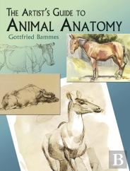 The Artist'S Guide To Animal Anatomy