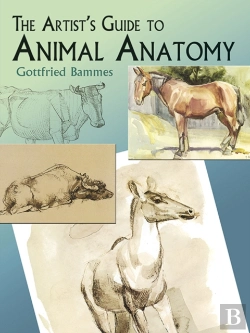 Bertrand.pt - The Artist'S Guide To Animal Anatomy