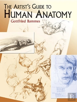 Bertrand.pt - The Artist'S Guide To Human Anatomy