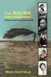 The Aruba Arrangement: A Novel Inspired