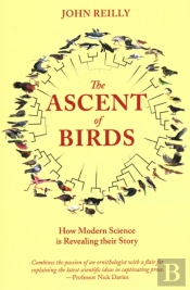 The Ascent Of Birds