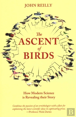 Bertrand.pt - The Ascent Of Birds