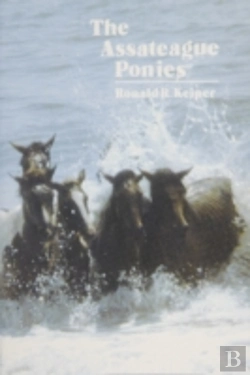 Bertrand.pt - The Assateague Ponies