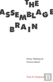 The Assemblage Brain