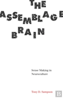 Bertrand.pt - The Assemblage Brain
