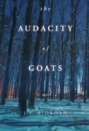 The Audacity Of Goats