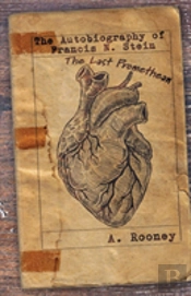 The Autobiography Of Francis N. Stein