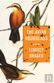The Avian Hourglass