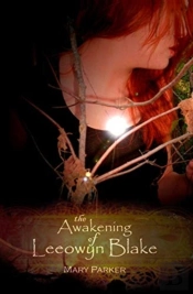 The Awakening Of Leeowyn Blake
