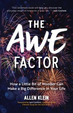 Bertrand.pt - The Awe Factor