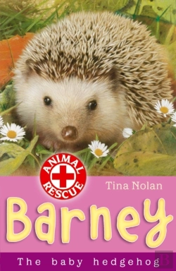 Bertrand.pt - The Baby Hedgehog