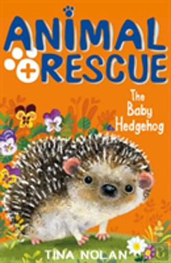 Bertrand.pt - The Baby Hedgehog