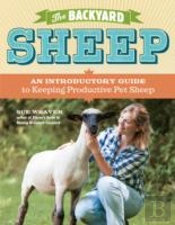 The Backyard Sheep