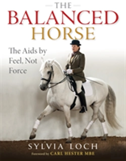 Bertrand.pt - The Balanced Horse