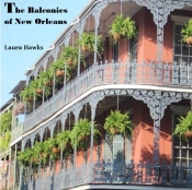The Balconies Of New Orleans